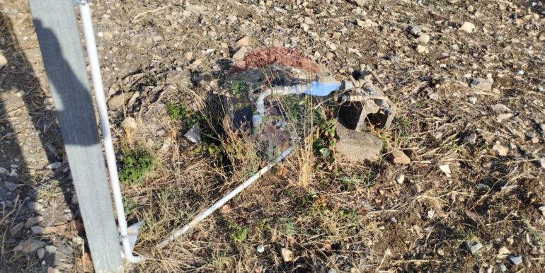 2025091902450-985775-1