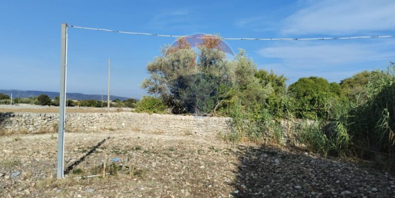 2025091902459-985775-3