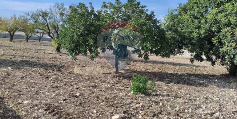 2025091902543-985775-15