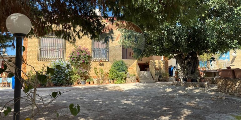 20250919183414-985976-12