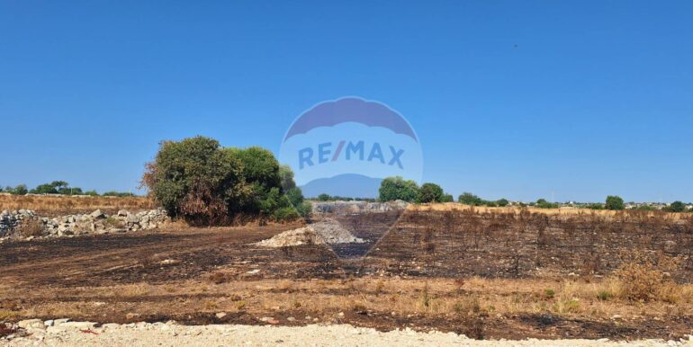 2025092394445-986231-2