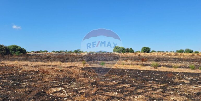 2025092394509-986231-8