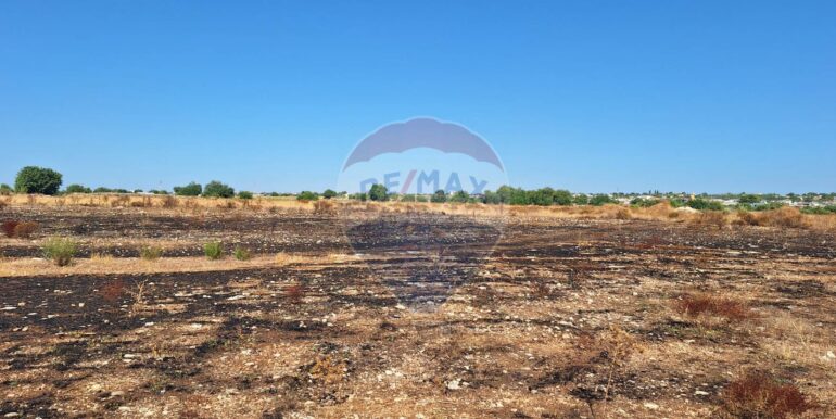 2025092394513-986231-9