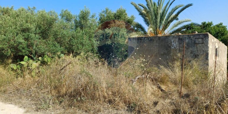 20250925182039-987746-1