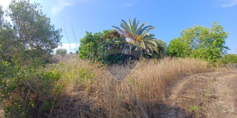 20250925182044-987746-2