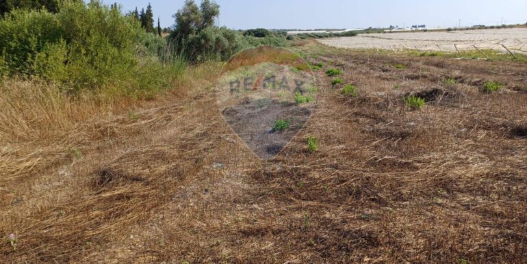 20250925182055-987746-5