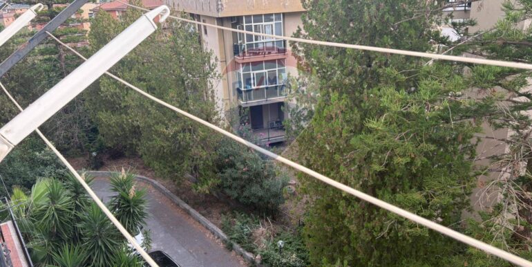 2025092590048-986384-25