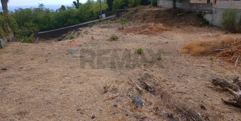 20250926193133-988779-4