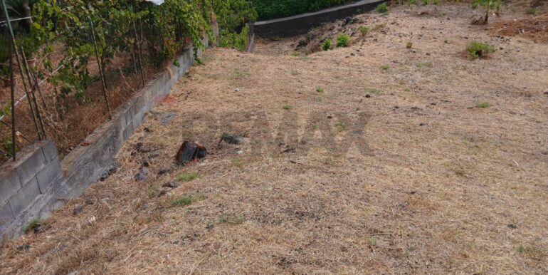 20250926193142-988779-6