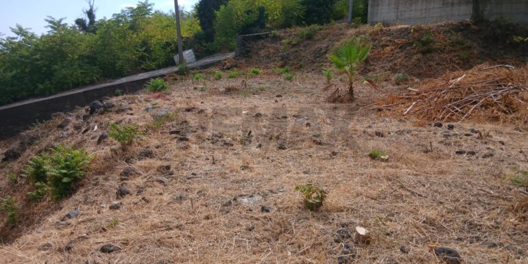 20250926193157-988779-8