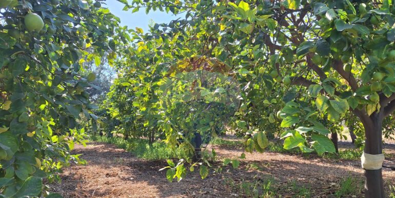 20250929114808-988929-2