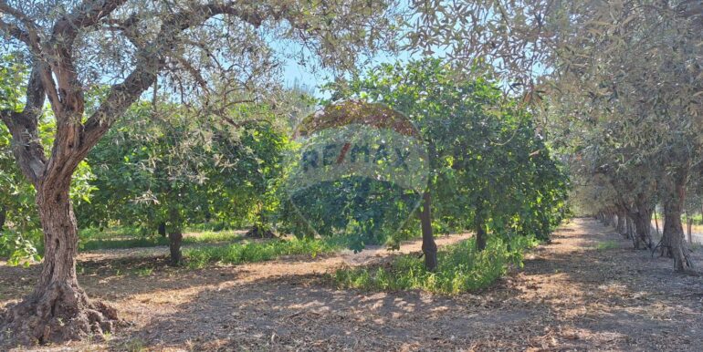 20250929114813-988929-3