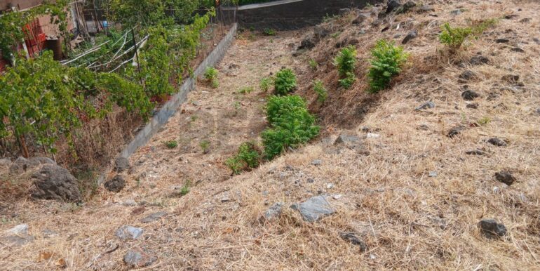 20250929204320-988779-12