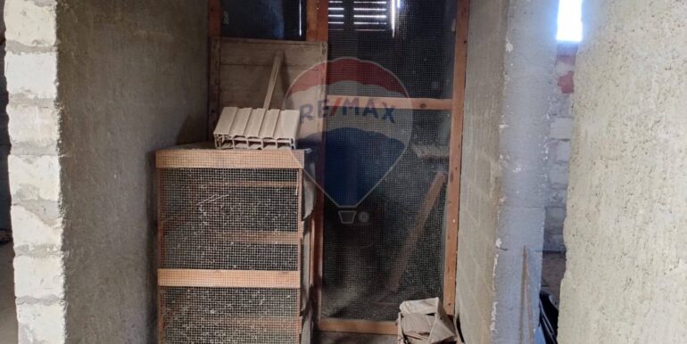 20250929214328-983603-12