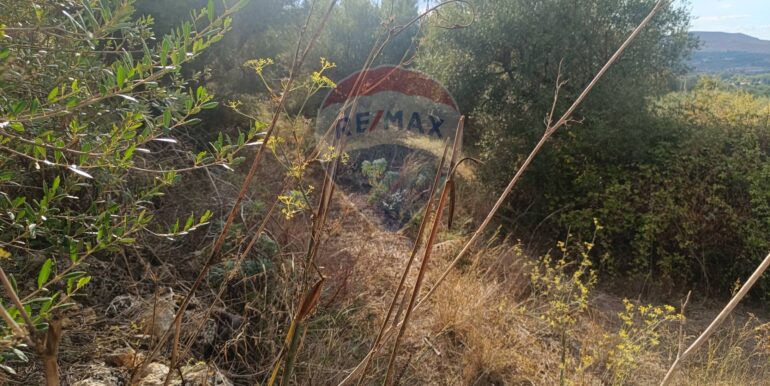 20250930163645-990443-1