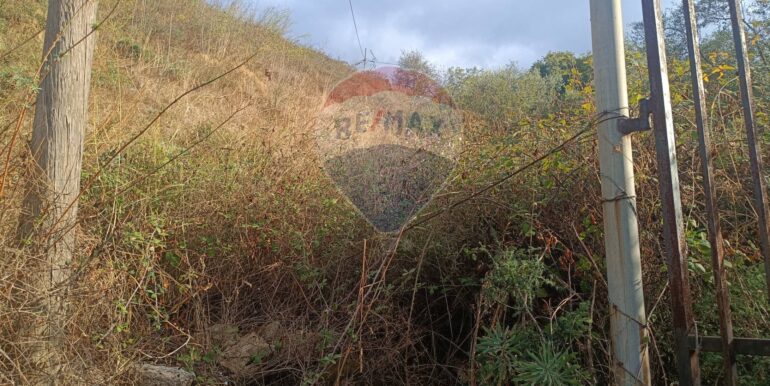 20250930163651-990443-2