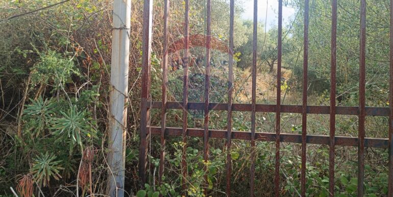 20250930163655-990443-3