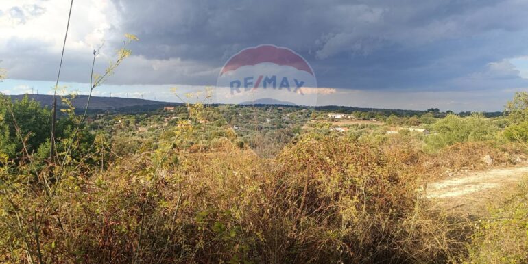 20250930163659-990443-4