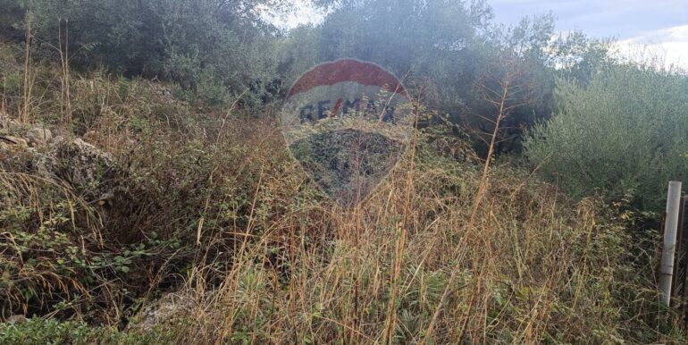 20250930163703-990443-5