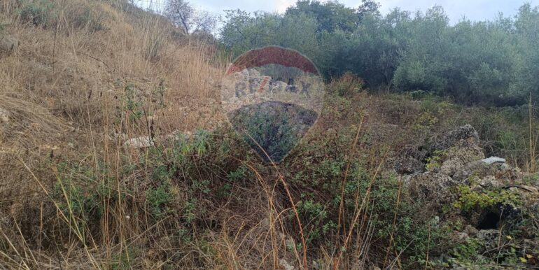 20250930163707-990443-6