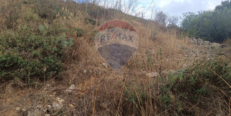 20250930163711-990443-7