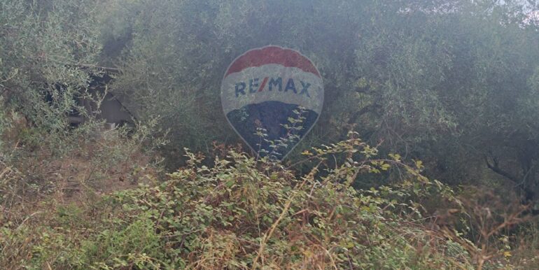 20250930163715-990443-8