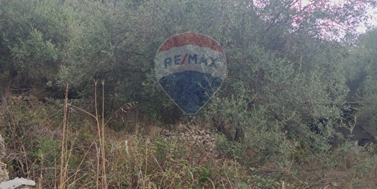 20250930163718-990443-9