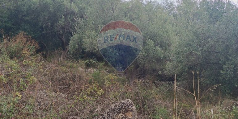 20250930163722-990443-10