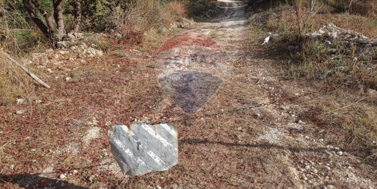 20250930163729-990443-12