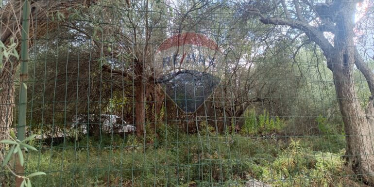 20250930164750-990450-2