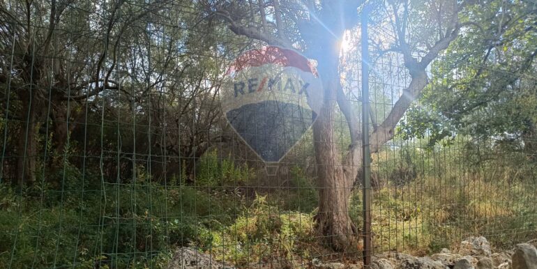 20250930164754-990450-3