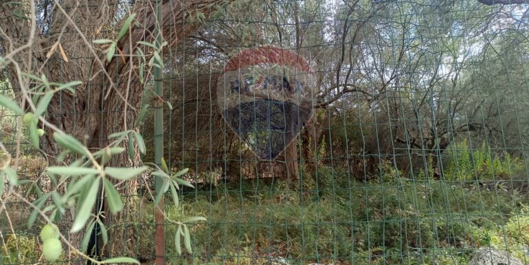 20250930164758-990450-4