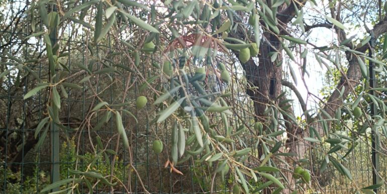 20250930164805-990450-6