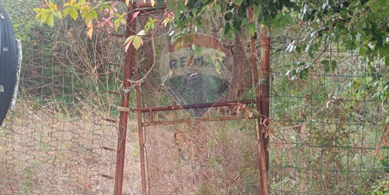 20250930164809-990450-7