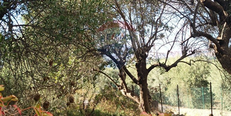 20250930164815-990450-8