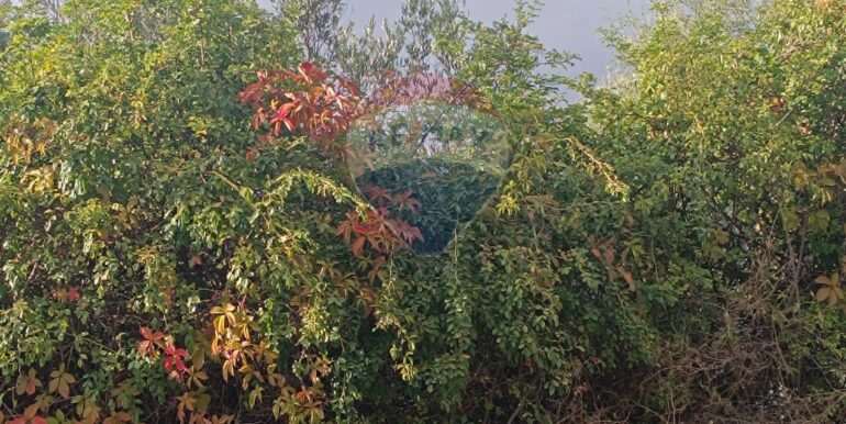 20250930164821-990450-9