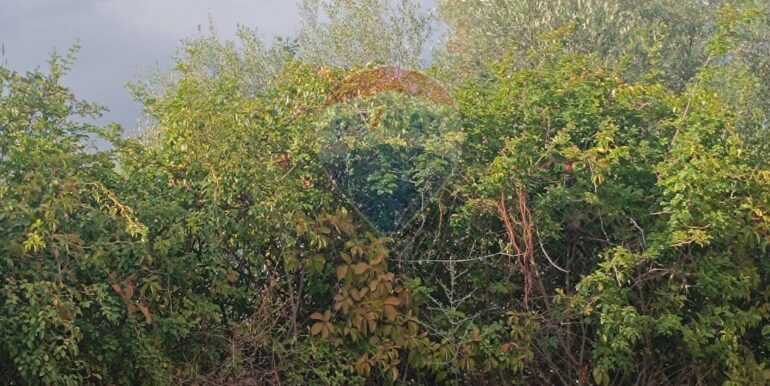 20250930164825-990450-10