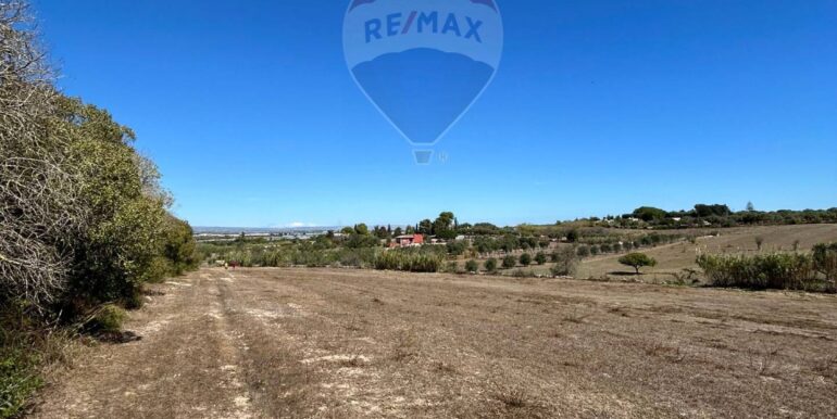 20251003171258-991543-8