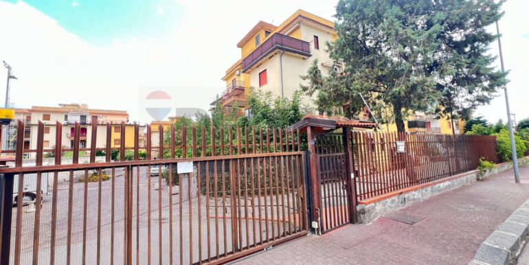 2025100603113-991758-2