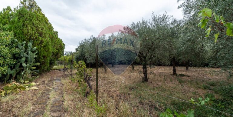 20251007184340-992331-7