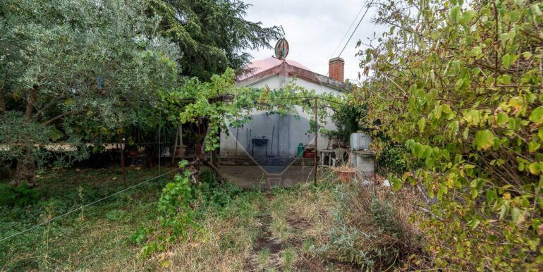 20251007184344-992331-8