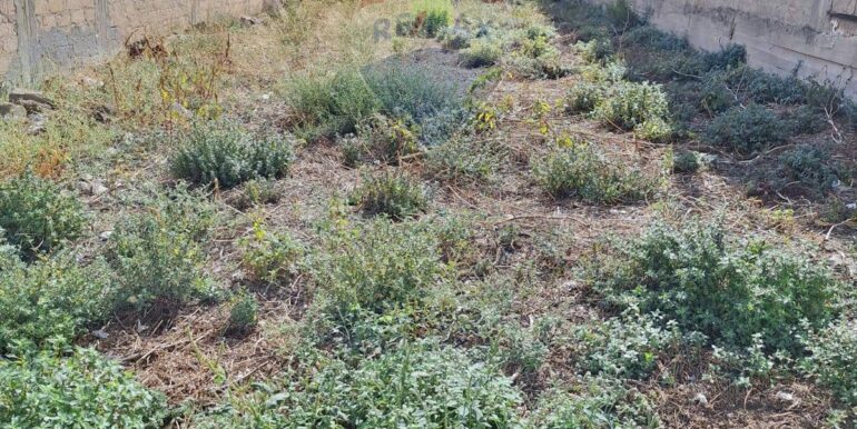 20251008125608-992501-2