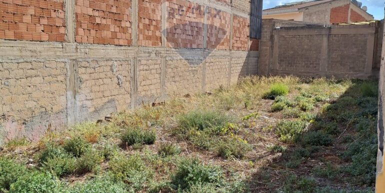 20251008125612-992501-3