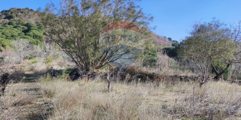 20251009161918-992745-9