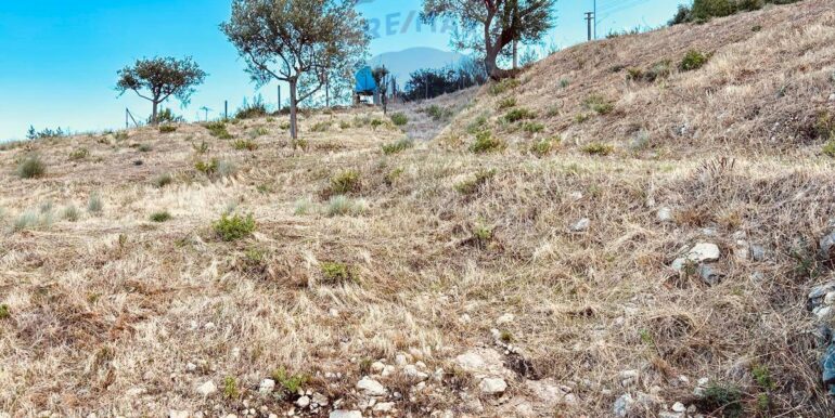 20251013185417-993406-1