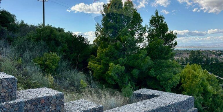 20251013185430-993406-5