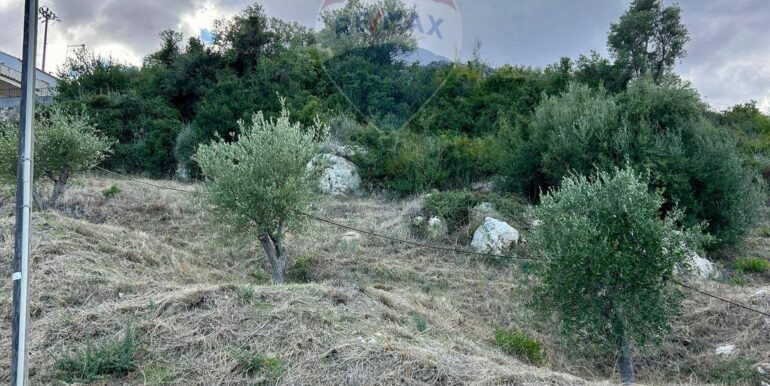 20251013185456-993406-11