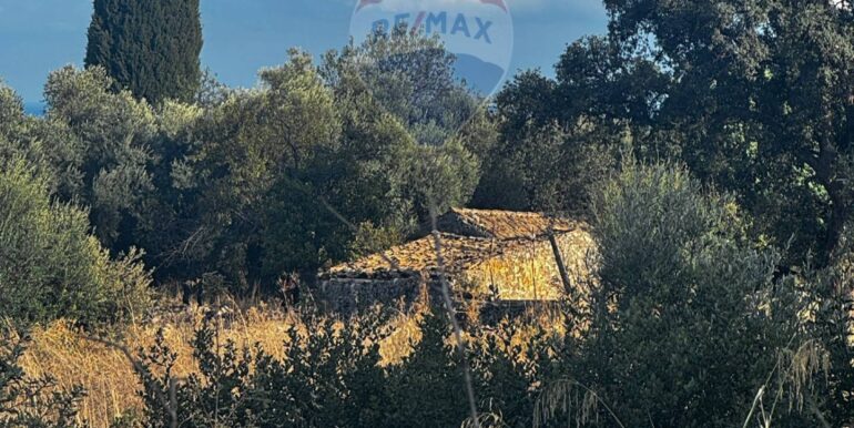 20251014111232-993513-4