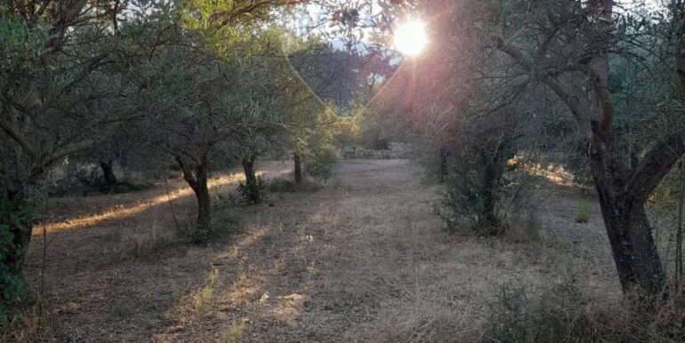 20251014111244-993513-9