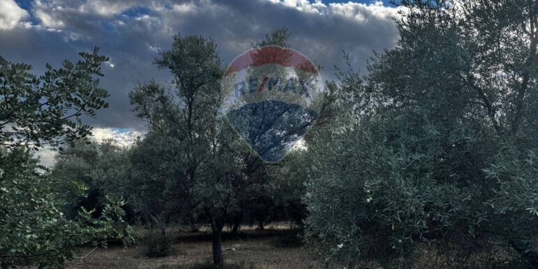 20251014111251-993513-12